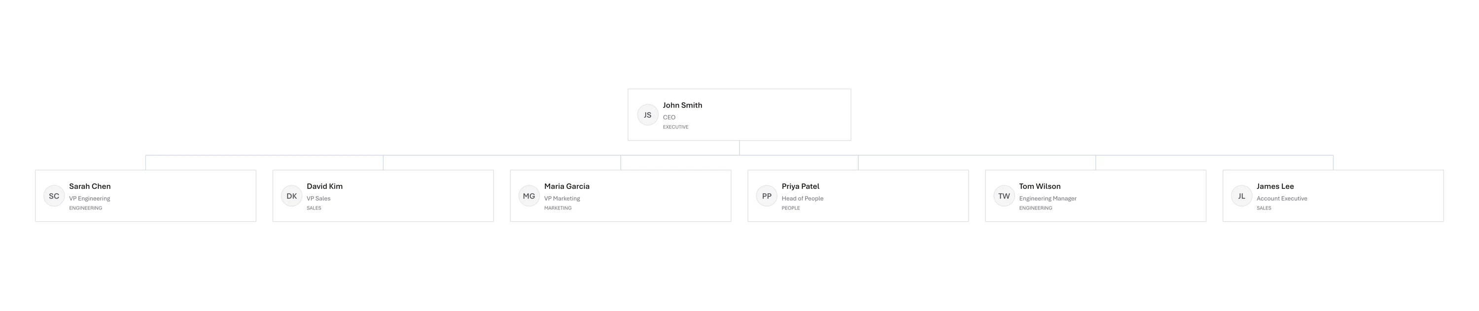 Clean professional export preview